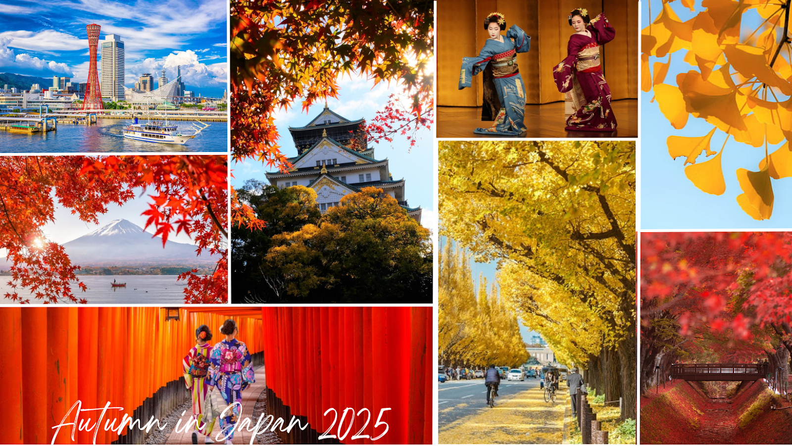 Tour Nhật Bản