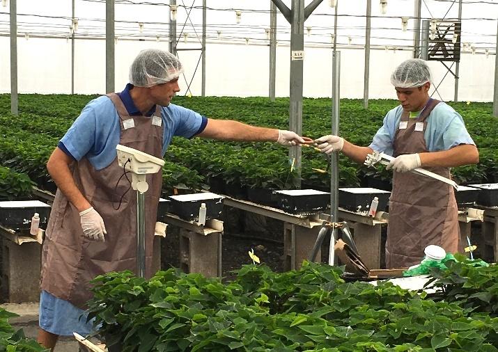 A group of people in a greenhouse

Description automatically generated
