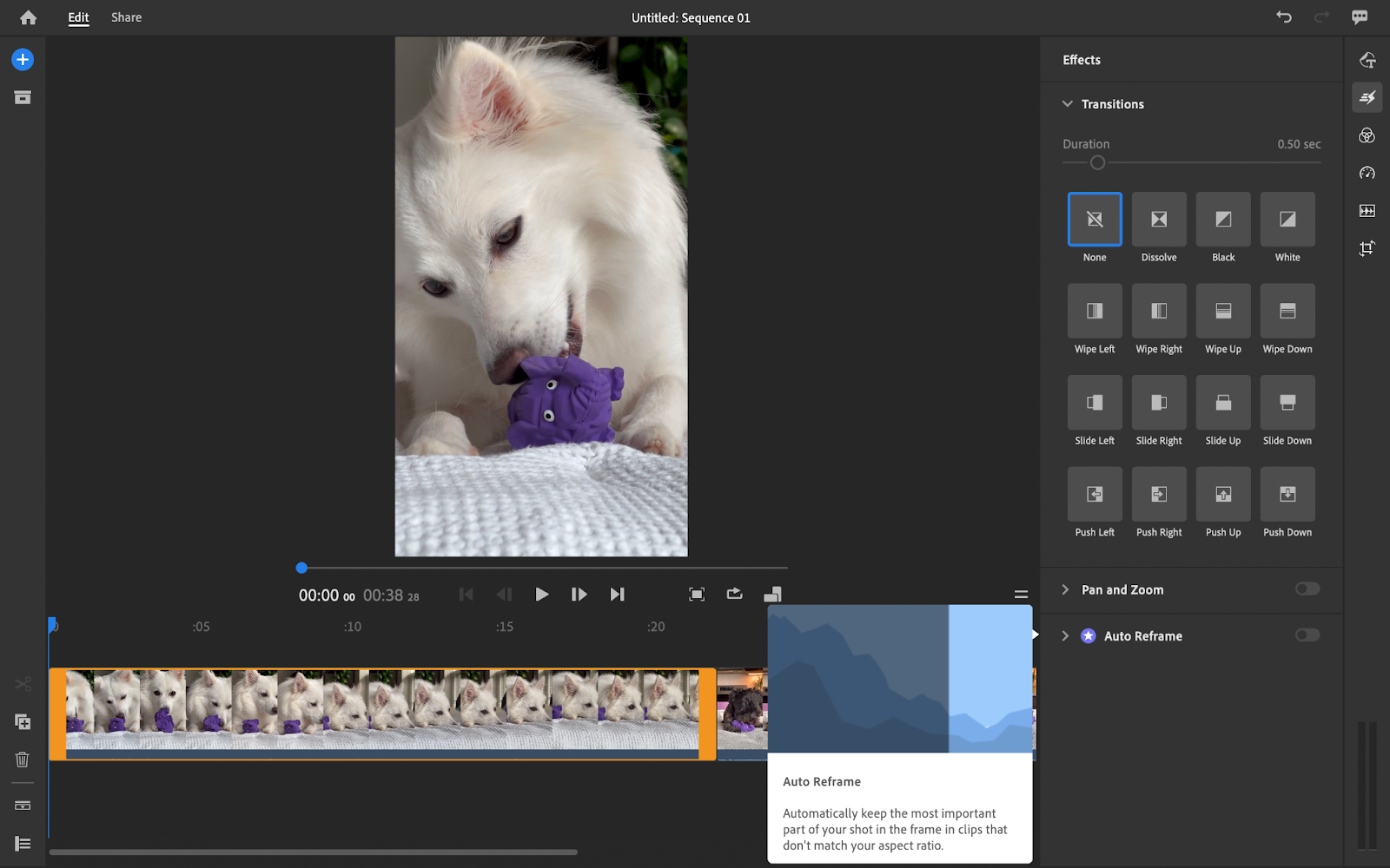 using adobe premiere rush's AI features to edit video ads