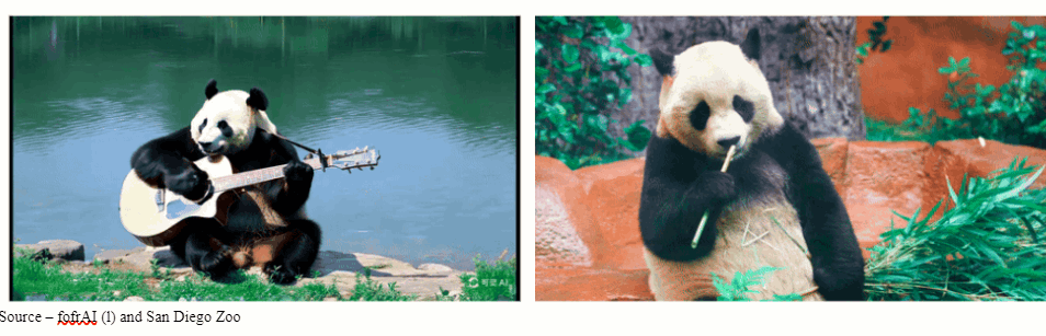 A panda and crocodile in a zoo

Description automatically generated