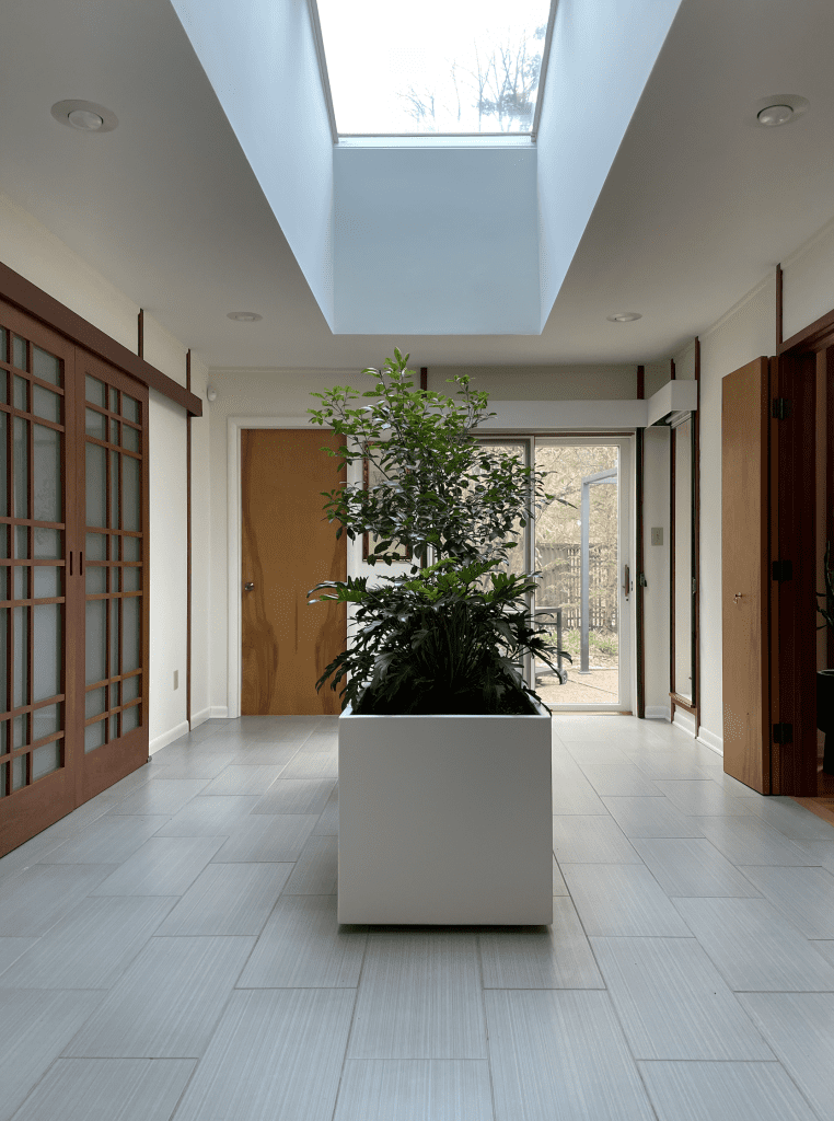 A large indoor planter filling up the space of an entrance hallway