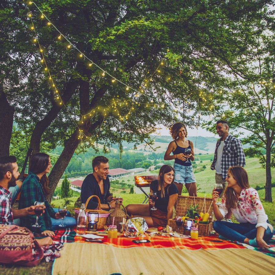 family picnic under big tree