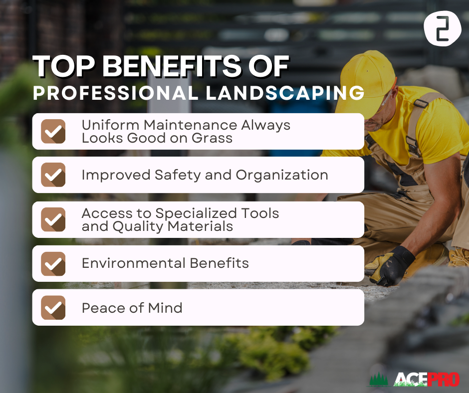 Benefits of Professional Landscaping