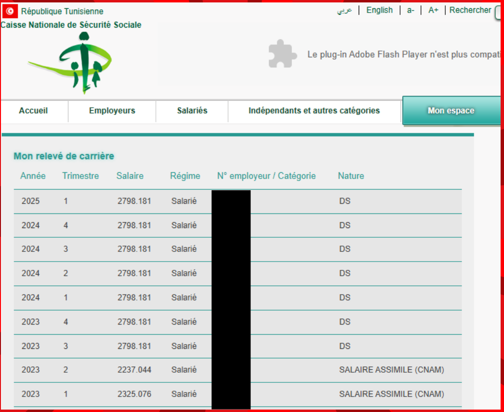 Capture d’écran montrant un relevé de carrière CNSS en ligne