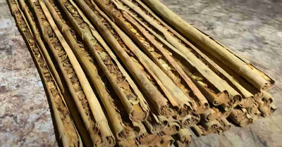 Traditional 42-inch quills or modern 21 inch quills