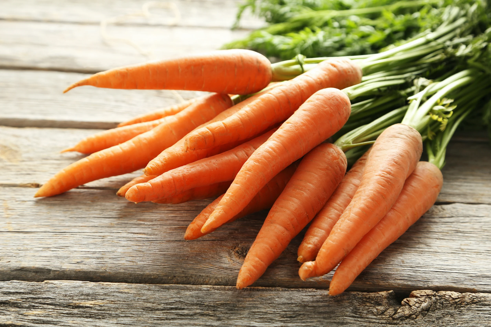 Carrot growing guide: Tips for sweet and crunchy roots