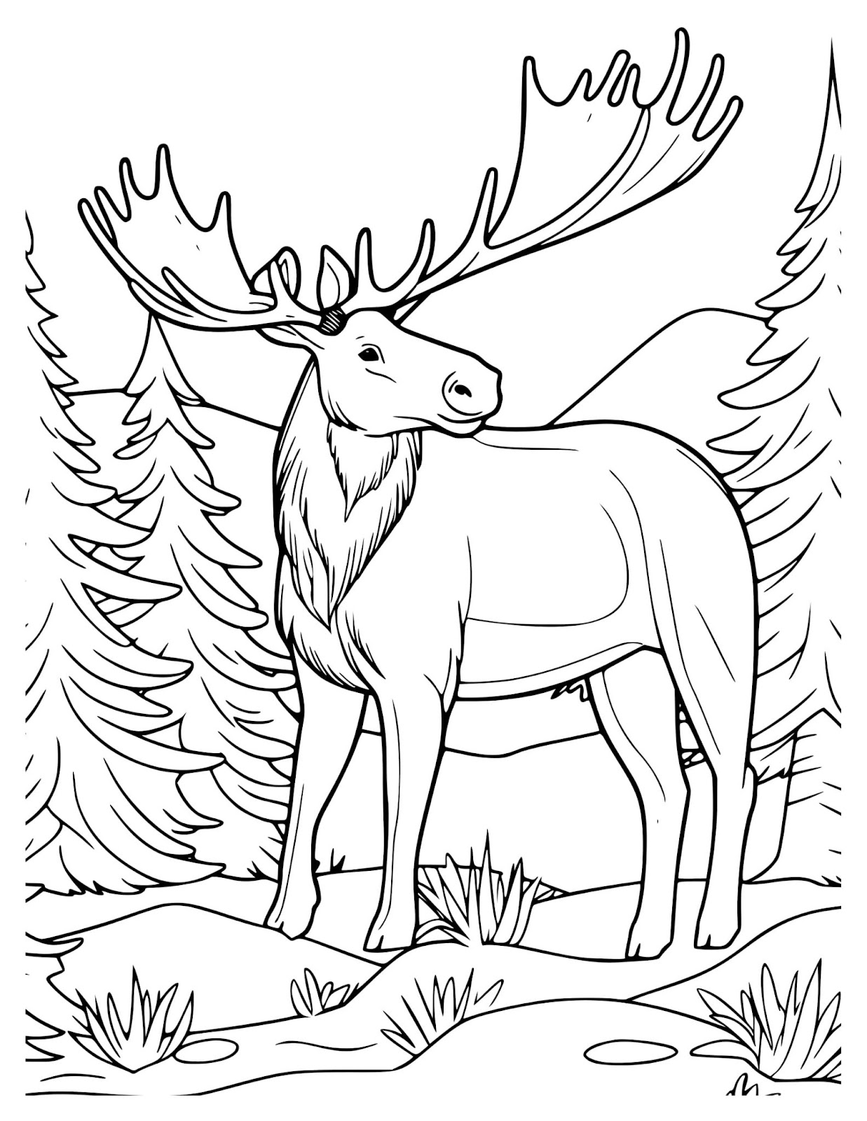 Noble Elk In The Pine Forest montana coloring pages