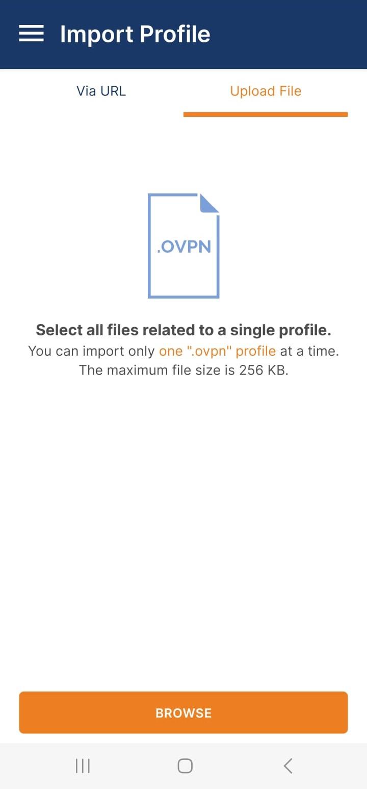 OpenVPN Connect Android app's import profile screen.