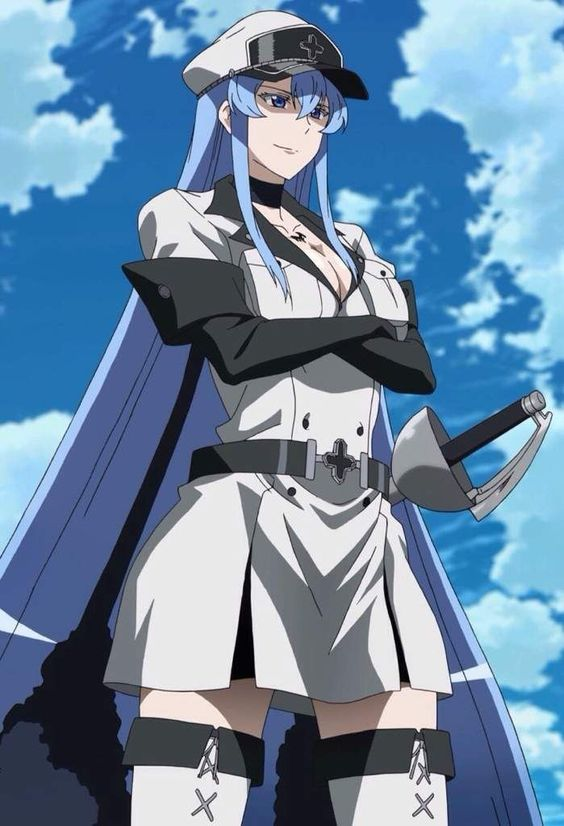 Top 22 Best Anime Anti-Heroes of All Time | Esdeath | AnimeKing 