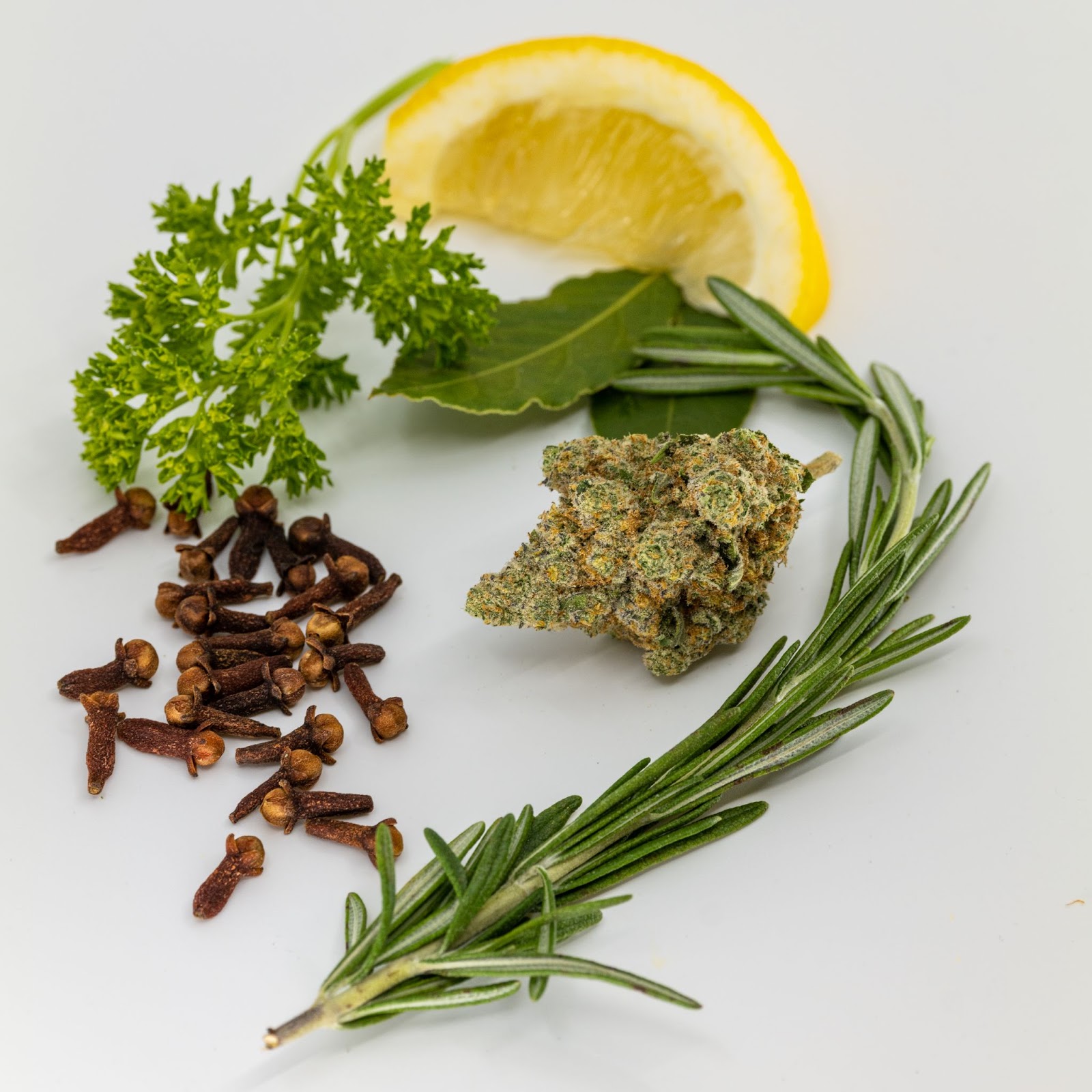 Close up picture of bright green and yellowa trimmed marijuana bud surrounded by the tastes and terps that it embodies: cloves, rosemary, parsley, and a a slice of lemon.The items are portrayed on a white background. This marijuana bud is of the cannabis strain Modified Grapes, which has genetics from In The Flow Boutique Cannabis, and it is grown in at The Source Craft Cannabis Company in Rogers, Arkansas.