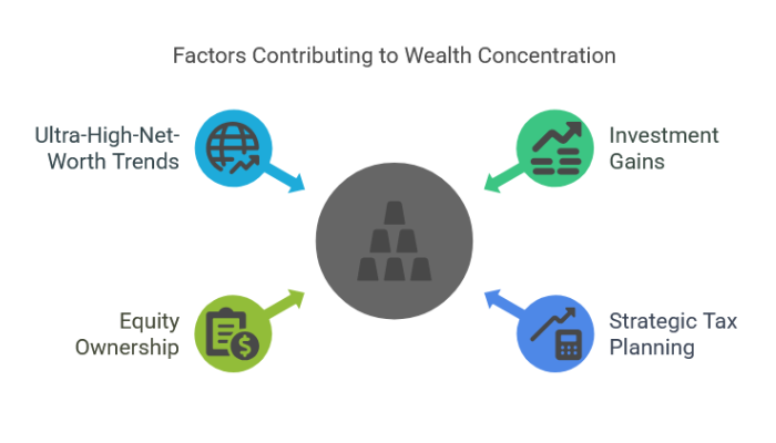 Factors Driving Wealth Concentration