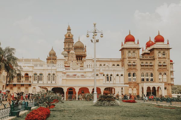 How to Find Cheap Flights on Popular Travel Sites