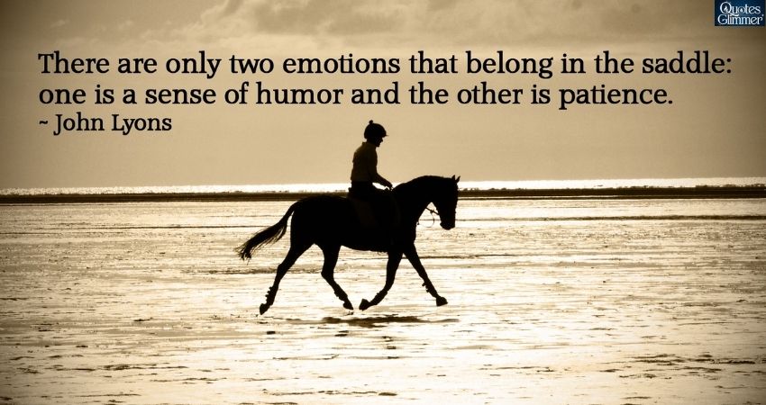 Horse Quotes from Anonymous Sources