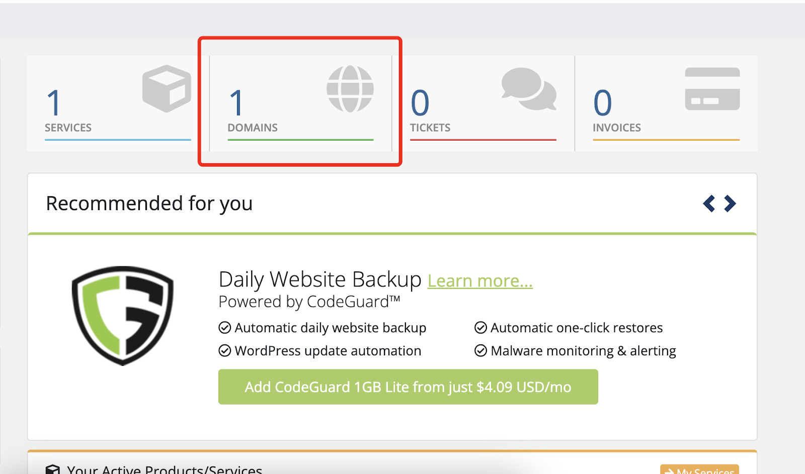  Domain’s DNS records