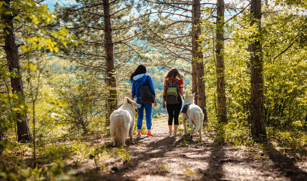 hiking