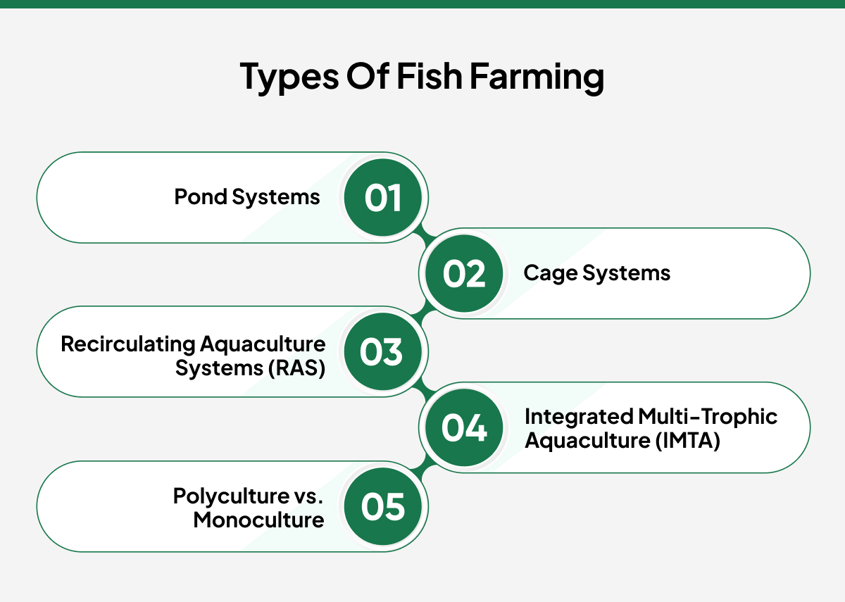 Fish Farming