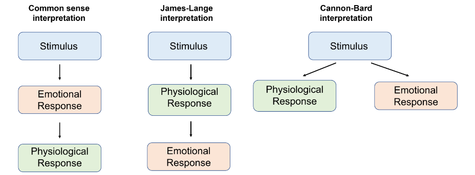 interpretation theories on emotion response