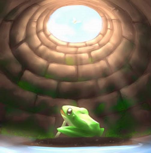 The Frog Sit Under The Well Life Lesson, 43% OFF