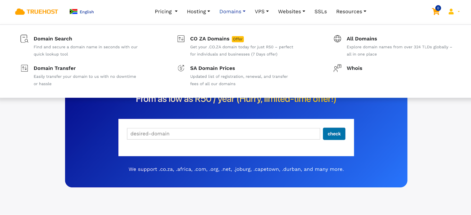 Truehost Domains