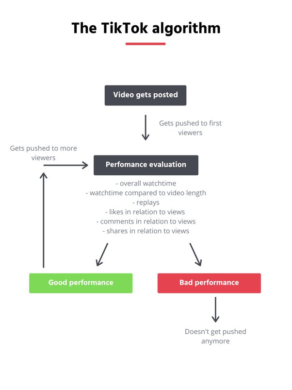 Tiktok Algorithm chart