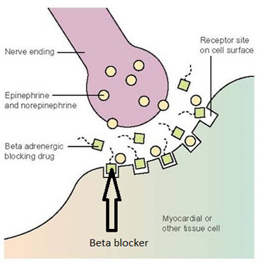 beta blockers