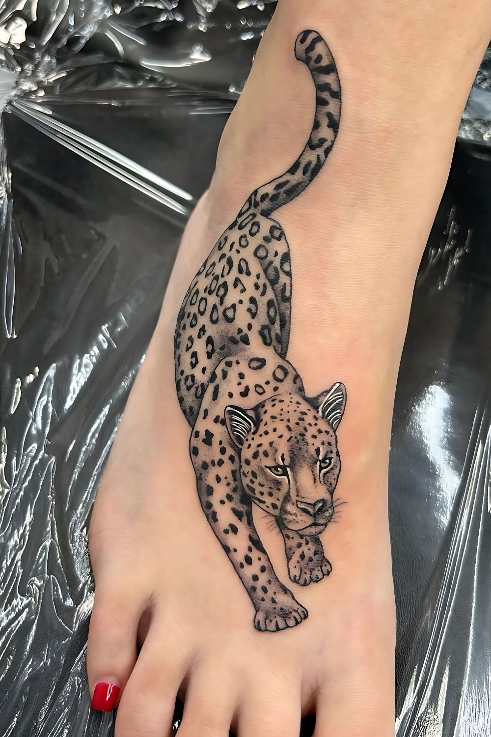  Lion Foot Tattoos