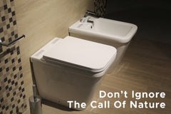 How To Prevent Hemorrhoids