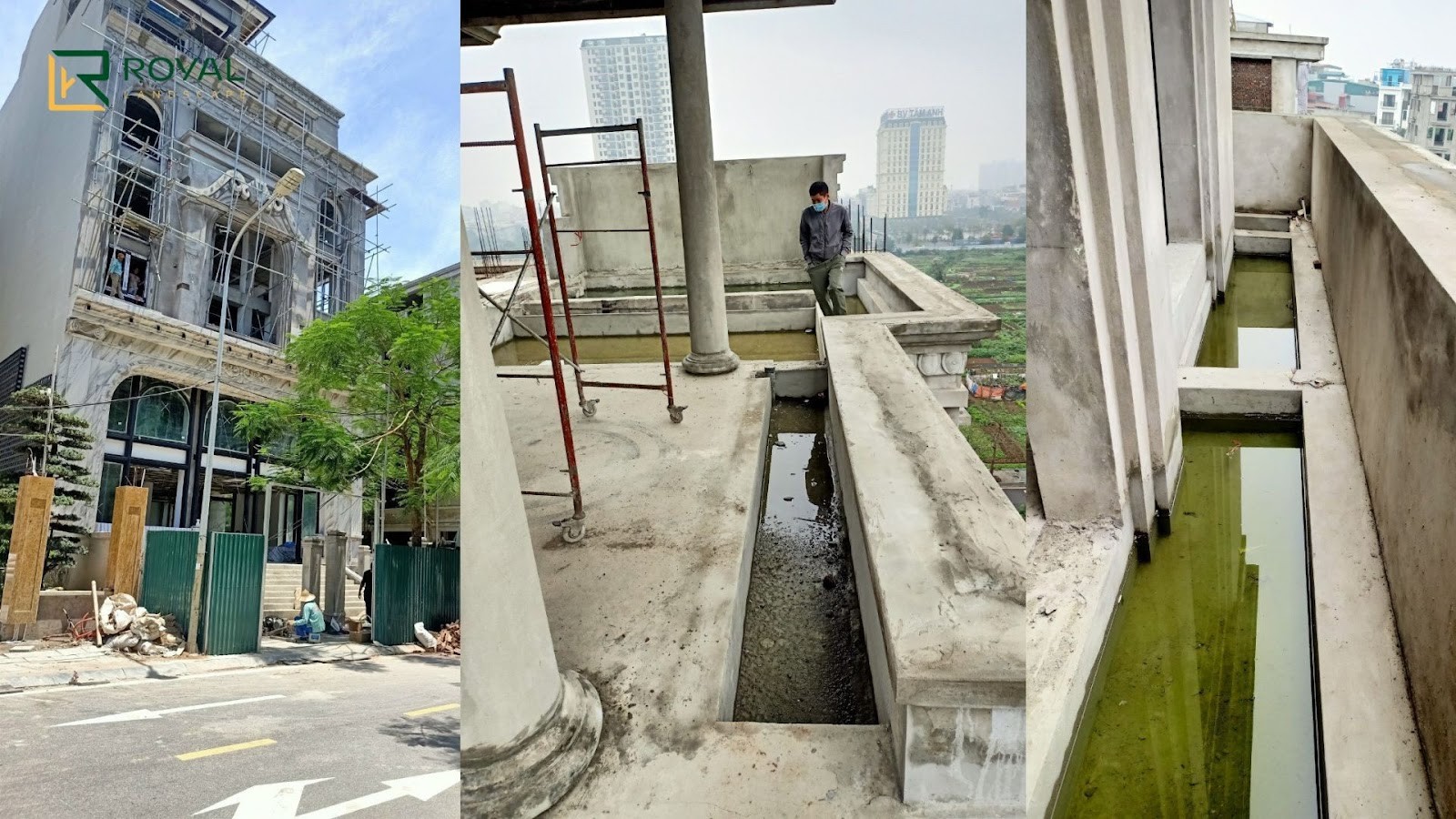 Dự án chị Dương