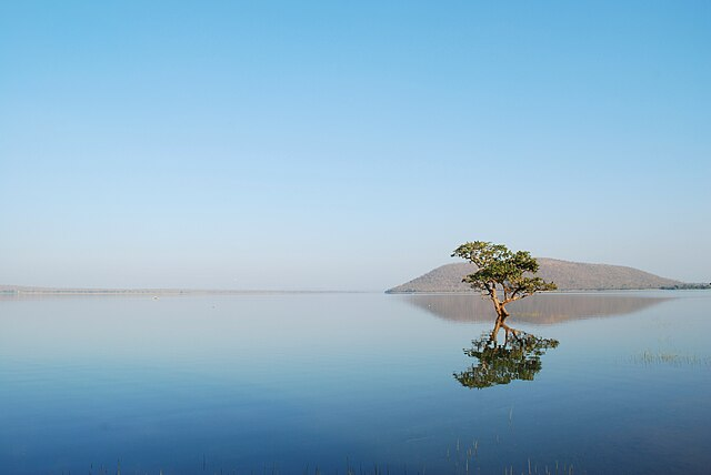 Pakhal Lake viewpoint