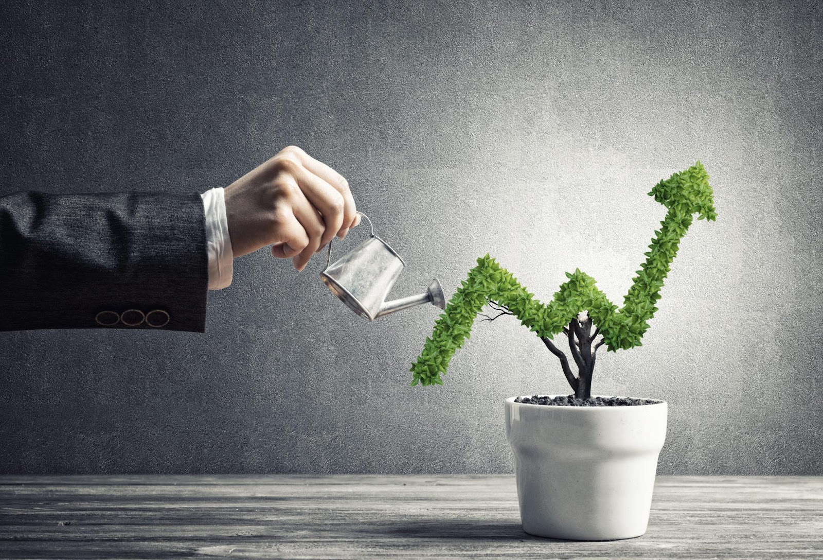 Best Business Investment Opportunities Today