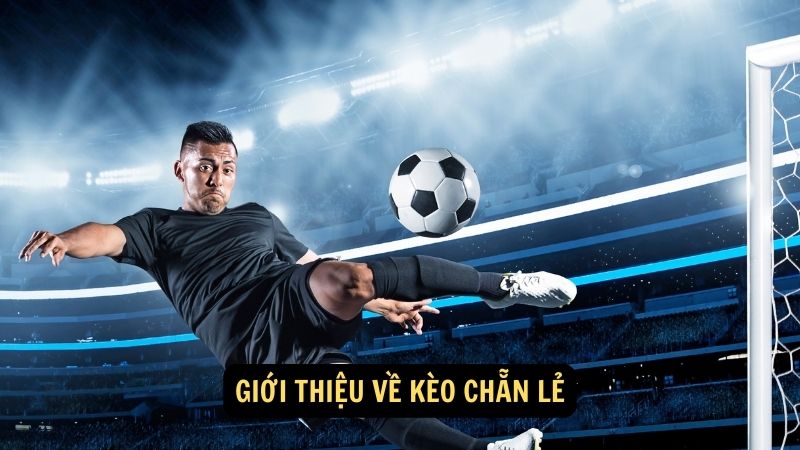 Giới thiệu về kèo chẵn lẻ