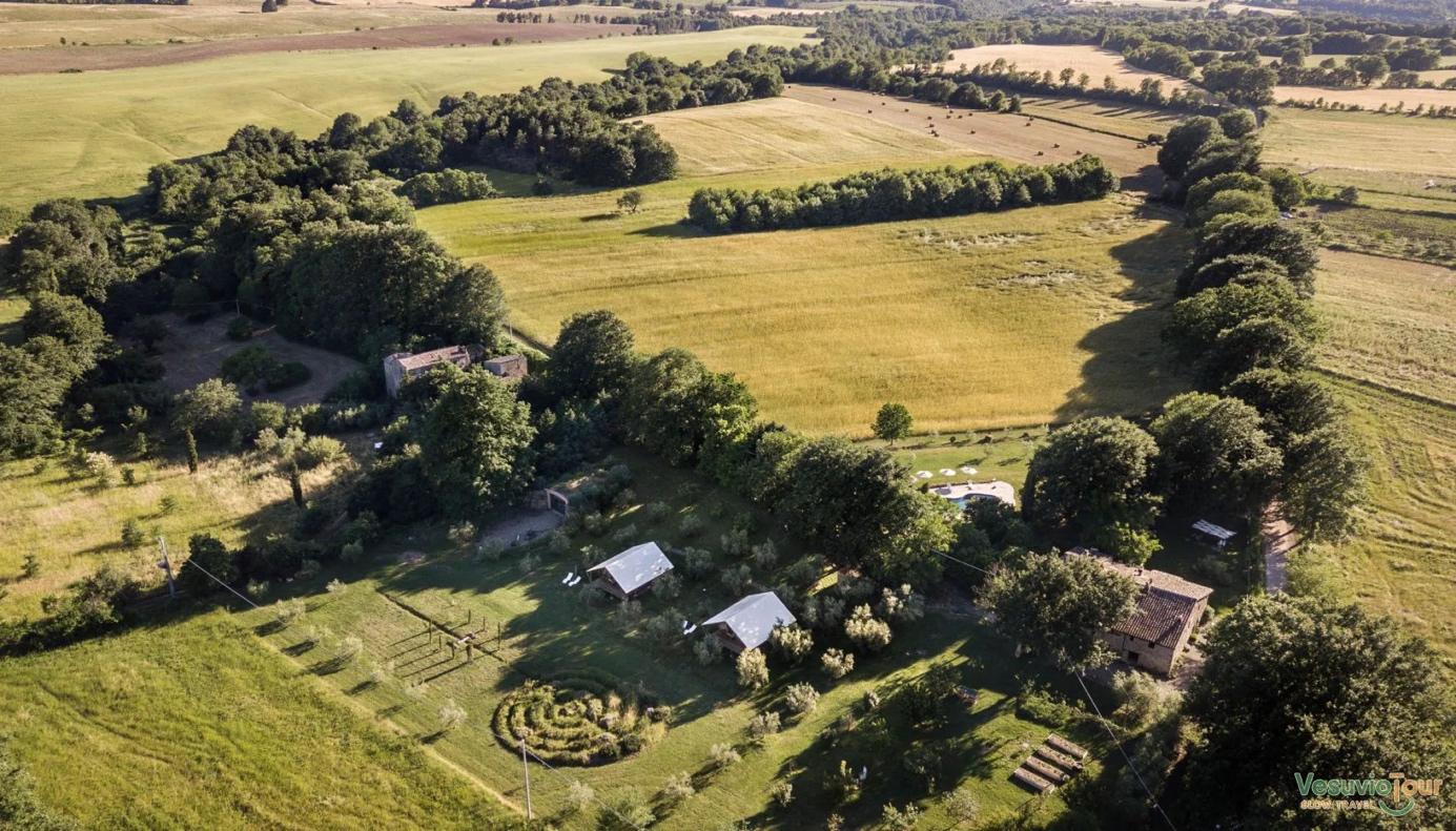 Afbeelding met gras, buitenshuis, boom, plant

Automatisch gegenereerde beschrijving