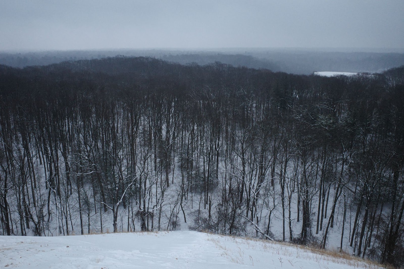 Snowy scene at ski resort