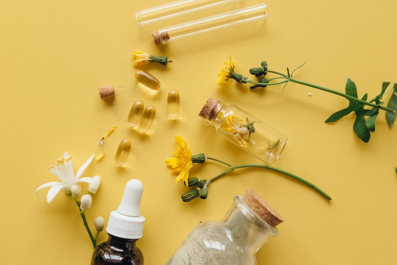 Understanding The Science Behind Herbal Medicine