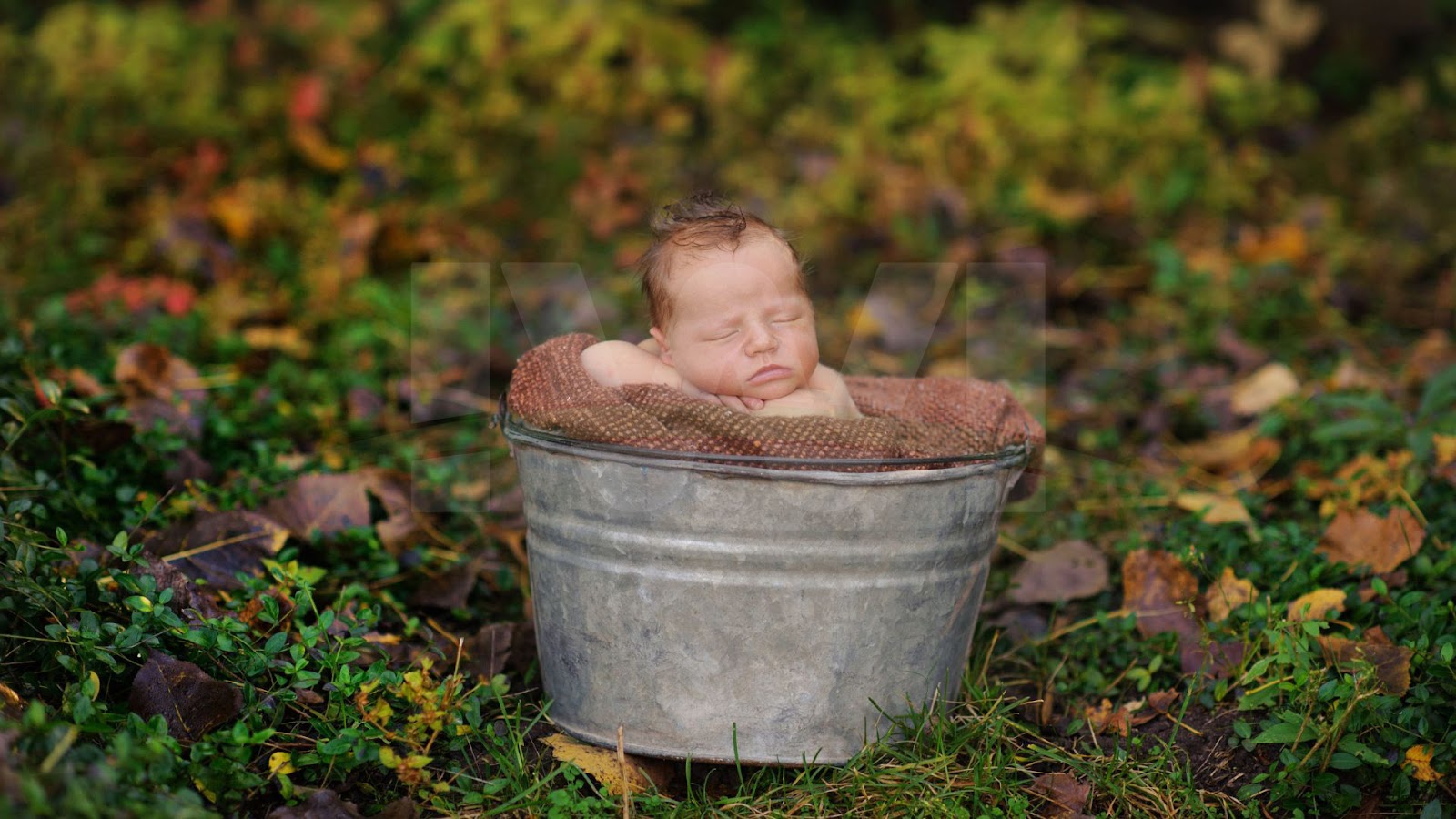 outdoor newborn photography images 6