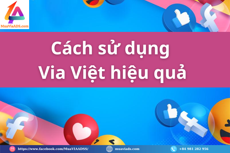 Cách sử dụng Via Việt hiệu quả