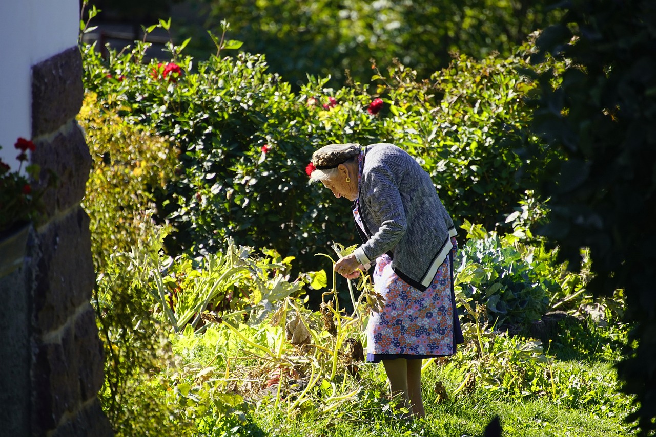 Gardening as Therapy