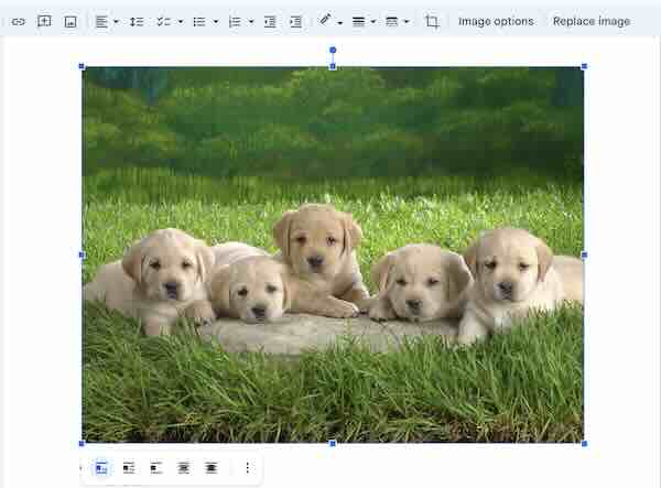 adding a description to an image in Google Docs