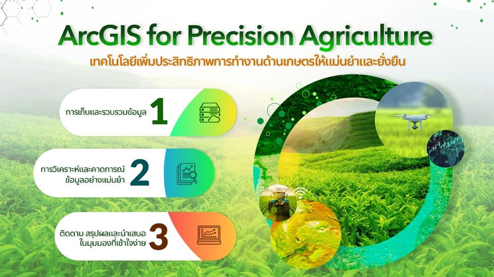A green field with colorful circles and text

Description automatically generated with medium confidence