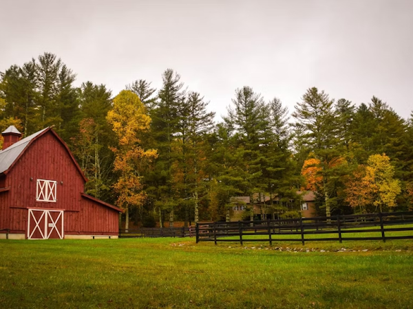 5 Of The Biggest Pests To Be Aware Of When You Start A Farm