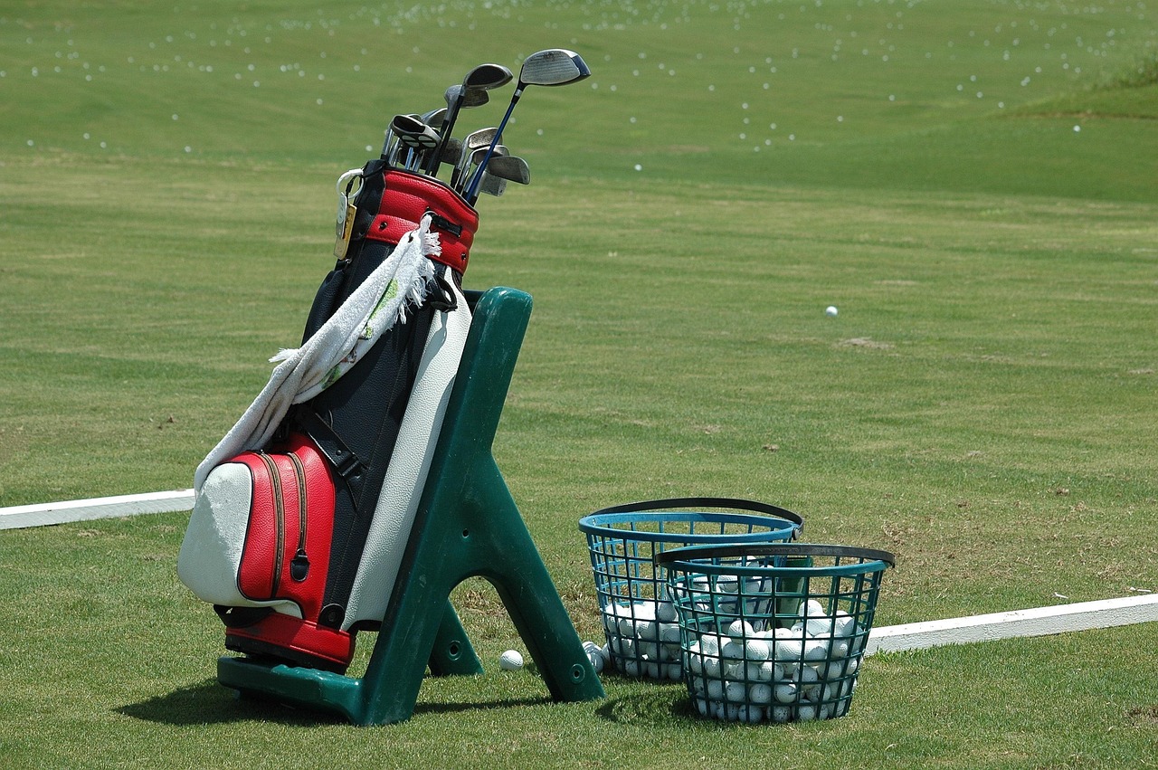 Leather Golf Bag
