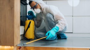 How to Prepare Your Home for Pest Control in Canley Vale