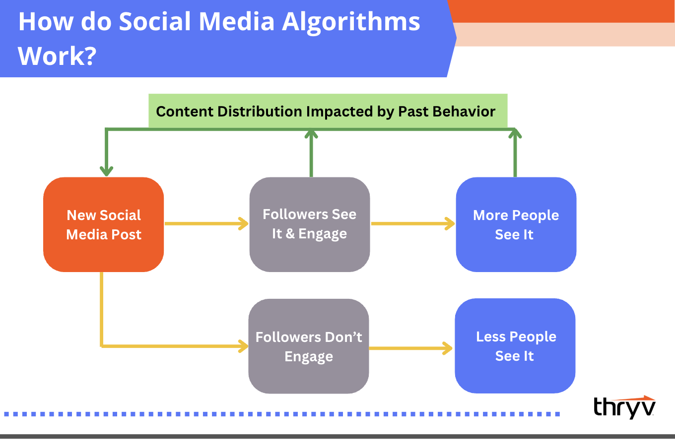 how do social media algorithms work