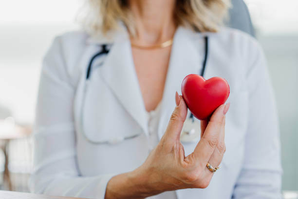 A healthcare professional gently holding a red heart model, symbolizing heart care and wellness support.