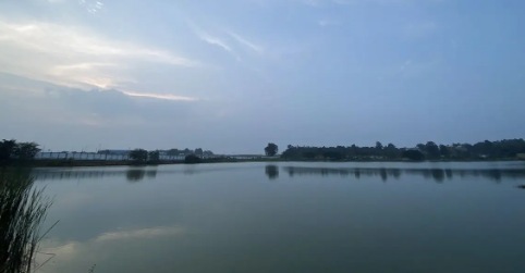 8. Hunasamaranahalli Lake – A Peaceful Escape
