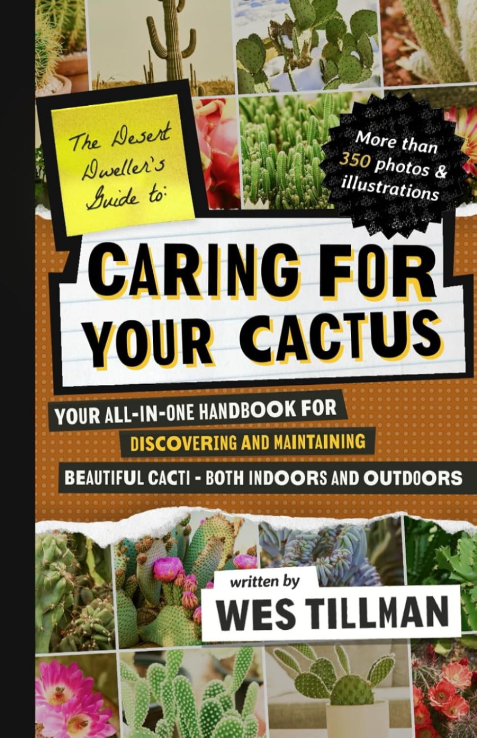 Your Path to a Thriving Green Oasis