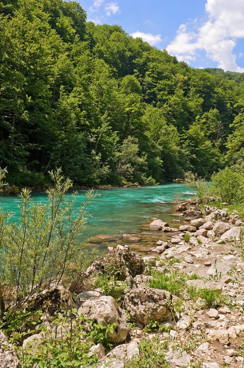 Natuur, Rivier, Reizen, Exploratie