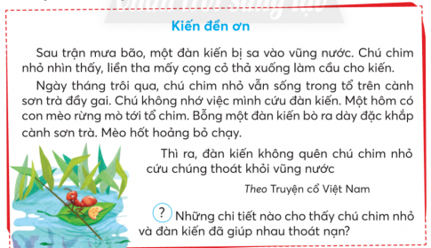 ĐÁNH GIÁ CUỐI HỌC KÌ IIA. ĐỌC1) Đọc thành tiếng và trả lời câu hỏi:Giải nhanh:Kiến đền ơn: Những chi tiết cho thấy chú chim nhỏ và đàn kiến đã giúp nhau thoát nạn:Sau trận mưa bão, một đàn kiến bị sa vào vũng nước. Chú chim nhỏ nhìn thấy, liền tha mấy cọng cỏ thả xuống làm cầu cho kiến. Ngày tháng trôi qua, chú chim nhỏ vẫn sống trong tổ trên cành sơn trà đầy gai. Chú không nhớ việc mình cứu đàn kiến. Một hôm có con mèo rừng mò tới tổ chim. Bỗng một đàn kiến bò ra dày đặc khắp cành sơn trà. Mèo hốt hoảng bỏ chạyBạn người đi biển: Người đi biển thấy cánh hải là lòng cháy bừng hi vọng vì:Chúng báo trước cho họ những cơn bão. Lúc trời sắp nổi bão, chúng càng boy nhiều, vờn sát ngọn sóng hơn và về ổ muộn hơn, chúng cần kiếm mồi sẵn cho lũ con ăn trong nhiều ngày, chờ khi biển lặng.Mặt trời xanh của tôi: Tác giả gọi cọ là mặt trời xanh vì:  lá cọ xoè những cánh nhỏ dài trông xa như “mặt trời ” dâng toả chiếu những “tia nắng xanh”) => tình cảm yêu mến và tự hào của tác giả về rừng cọ của quê hương.Lá bàng: Mùa xuân và mùa đông lá bàng:Mùa xuân, lá bàng mới nảy trông như những ngọn lửa xanh. Lá bàng mùa đông đỏ như đồng2) Đọc và thực hiện các yêu cầuChọn ý trả lời đúng cho các câu hỏi dưới đâu:a. Hai anh em bạn nhỏ định chơi trò chơi gì?Hái cỏĐá gàHái raub. Cỏ gà mọc ở đâu?Mọc lẫn với rau samMọc lẫn với hoa mào gàMọc chỗ tiếp giáp giữa cỏ và rauc. Vì sao bạn nhỏ không ngạc nhiên khi thấy em trai hồn nhiên chơi với con cuốn chiếu?Vì bạn nhỏ rất yêu thương em trai, muốn thấy em trai vui vẻ.Vì hai anh em xem những con vật quanh mình là bầu bạn.Vì cuốn chiếu là một con vật chỉ nhỏ bé như cái cúc áo.d. Vì sao bạn nhỏ và em trai quên mất việc hái cỏ gà để chơi?Vì tìm thấy cả cỏ lá gừng và cỏ xuyến chỉVì tìm thấy rau dền, rau sam lẫn trong đám cỏVì còn mải chơi với con cuốn chiếue. Trong câu “Hai anh em tôi đi hái cỏ gà.”, từ ngữ nào trả lời câu hỏi Làm gì?Đi hái cỏ gàHái cỏ gàTôi đi hái cỏ gàg. Câu văn nào dưới đây có hình ảnh so sánh?Cỏ lá gừng, cỏ xuyến chi mọc lẫn với rau dền, rau sam.Con cuốn chiếu cuộn tròn người lại như một cái cúc áo.Tôi loay hoay lựa những cọng cỏ gà dai và khoẻ nhất để hái.Thực hiện các yêu cầu dưới đây:h. Đặt một câu thể hiện cảm xúc của em về hai anh em Tường.i. Vì sao anh em Tường gọi con cuốn chiếu là  người bạn nhỏ xíu trăm chân”?k. Đặt tên khác cho câu chuyện.Giải nhanh:Chọn ý trả lời đúng cho các câu hỏi dưới đâu:a. Đá gàb. Mọc chỗ tiếp giáp giữa cỏ và rauc. Vì hai anh em xem những con vật quanh mình là bầu bạn.d. Vì còn mải chơi với con cuốn chiếue. Đi hái cỏ gàg. Con cuốn chiếu cuộn tròn người lại như một cái cúc áo.Thực hiện các yêu cầu dưới đây:h. Hai anh em Tường thật hồn nhiên và đáng yêu quá!i. Anh em Tường gọi con cuốn chiếu là 