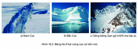 BÀI 16: THỦY QUYỂN.VÒNG TUẦN HOÀN NƯỚC, NƯỚC NGẦM, BĂNG HÀCâu 1: Dựa vào hình 16.1 em hãy nêu và so sánh:- Tỉ lệ diện tích lục địa và đại dương ở bán cầu Bắc- Tỉ lệ diện tích lục địa và đại dương ở bán cầu NamGiải nhanh:- So sánhLỤC ĐỊAĐẠI DƯƠNGTại bán cầu Bắc lục địa ( 39,24%) chiểm tỉ lệ % cao hơn ở cực Nam ( 19,0%) và cao hơn 20,4%Tạo bán cầu Bắc đại dương ( 60,6%) chiếm tỉ lệ % thấp hơn ở cực Nam(81,0%) và thấp hơn 20,4%- Tại bán cầu Nam, tỉ lệ lục địa thấp hơn tỉ lệ đại dương và thấp hơn 62%Câu 2: Quan sát hình 16.2 và đọc thông tin trong bài em hãy cho biết nước có từ đâu?Giải nhanh:Nước có ở: + băng tuyết trên đỉnh núi+ mây+ hồ+ sông+ đại dương+ dòng chảy ngầm+ hơi nước trong khí quyểnII. Vòng tuần hoàn nướcCâu 3: Quan sát hình 16.3 và đọc thông tin trong bài, em hãy mô tả vòng tuần hoàn lớn của nước.Giải nhanh:Vòng tuần hoàn lớn của nước:- Nước từ các mạch nước ngầm, hồ, đại dương dưới tác động của nhiệt độ bốc hơi lên cao nhiều dần tụ thành các đám mây- Mây được gió đưa vào sâu lục địa: ở vùng vĩ độ thấp, núi thấp mây gặp lạnh thành mưa- Một phần mưa bay hơi ngay và trở lại khí quyển, phần còn lại rơi xuống biển trở thành nước mặt hoặc ngấm vào đất thành nước ngầm, ở vùng vĩ độ cao và núi cao, mây gặp lạnh tạo thành tuyết- Nước ngấm và đọng lại về lại biển và đại dương, rồi tiếp tục bốc hơi,...III. Nước ngầm và băng hà1. Nước ngầmCâu 4: Quan sát hình 16.4 và đọc thông tin trong bài, em hãy:- So sánh tỉ lệ giữa nước mặn và nước ngọt trên trái đất- Cho biết tỉ lệ nước ngầm trong tổng lượng nước ngọt trên Trái Đất- Nêu tầm quan trọng của nước ngầmGiải nhanh:NƯỚC MẶNNƯỚC NGẦMTỉ lệ nước mặn chiếm phần trăm gần như tuyệt đối lên tới 97,5 % trong khi nước ngọt chỉ chiếm 2,55%Tỉ lệ nước ngầm chiếm 30,1 % trong tổng lượng nươc ngọt trên trái đất thấp hơn tỉ lệ lượng nước trên đỉnh núi băng và sông băng ( 68,7%) là 38,6%.Tầm quan trọng của nước ngầm: cung cấp nguồn nước cho sông hồ,  nước cho sinh hoạt, cho sản xuất nông nghiệp và công nghiệp, là nguồn nước ngọt quan trọng cho toàn thế giới2. Băng hàCâu 5: Quan sát hình 16.4, hình 16.5 và đọc thông tin trong bài, em hãy:- Kể tên những nơi có băng hà- Xác định tỉ lệ băng hà trong tổng lượng nước ngọt trên Trái Đất- Nêu tầm quan trọng của băng hàGiải nhanh:- Những nơi có băng hà như: Nam cực, Bắc cực, các dãy núi vùng ôn đới và các đảo ở vùng vĩ độ cao, ở các dãy núi cao giữa hai vĩ tuyến 35 độ Bắc và Nam- Tỉ lệ băng hà trong tổng lượng nước ngọt trên Trái Đất chiếm tới 68,9%- Tầm quan trọng của băng hà: + Là nguồn cung cấp nước chủ yếu cho các con sông ở miền ôn đới hay các con sông bắt nguồn từ núi cao+ Là nguồn dự trữ, cung cấp nước ngọt và nguồn thủy năngI. Luyện tậpCâu 1:  Hãy kể tên các thành phần chủ yếu của thủy quyểnGiải nhanhCác thành phần chủ yếu của thủy quyển: nước trong các biển, đại dương, trên lục địa ( sông, hồ, băng, tuyết, nước ngầm,...) và hơi nước trong khí quyểnCâu 2:  Hãy tìm ví dụ cho thấy nước ngầm có tham gia vào vòng tuần hoàn lớn của nướcGiải nhanh:Nước ngầm có tham gia vào vòng tuần hoàn lớn của nước ở chỗ nước ngầm do nước trên bền mặt đất, mưa, băng tuyết tan và sông hồ  thấm xuống đất tạo thành các mạch nước ngầm, theo dòng chảy ra đại dương, hồ, sông từ đó dưới tác động mặt trời mà bốc hơi tạo thành mây nhưng tụ thành mưaII. Vận dụng