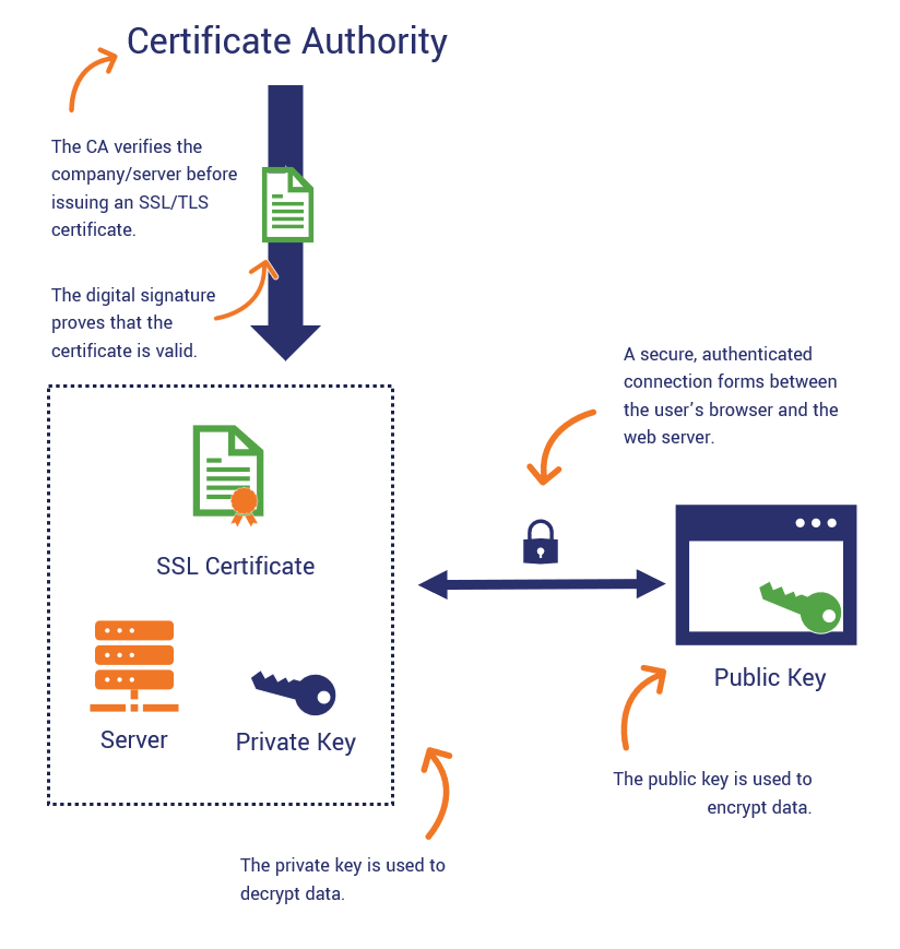 Cryptography Terms Explained: Definitions And Concepts Made Simple
